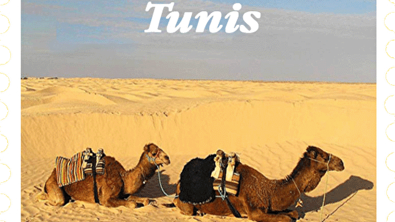 tunis.4312.gif